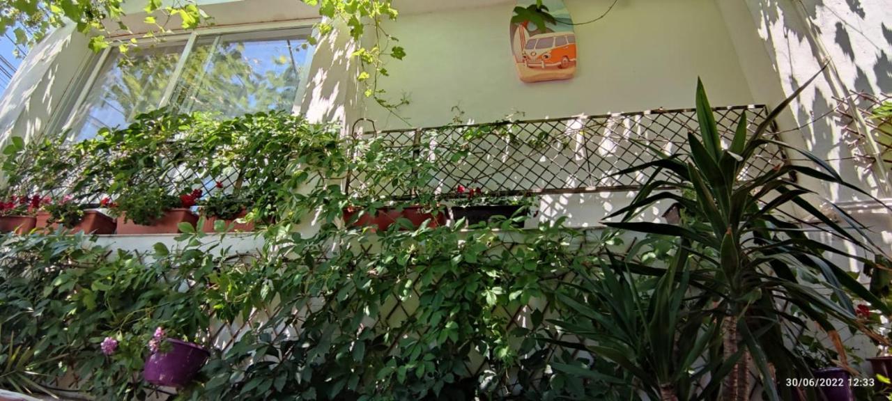 Traian si Teodora Hotel Costinesti Bagian luar foto